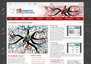 IQ Matrix: Accelerating Your Human Potential